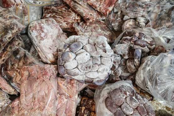 کشف بیش از 200 کیلوگرم گوشت غیرمجاز در دهدشت  +عکس