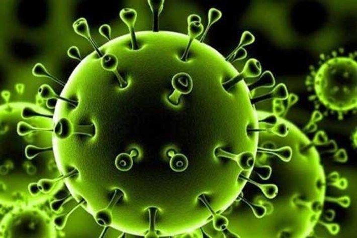 دولت چین بامداد شنبه از بهبود بیش از نیمی از مبتلایان به ویروس کرونا در این کشور خبر داد.