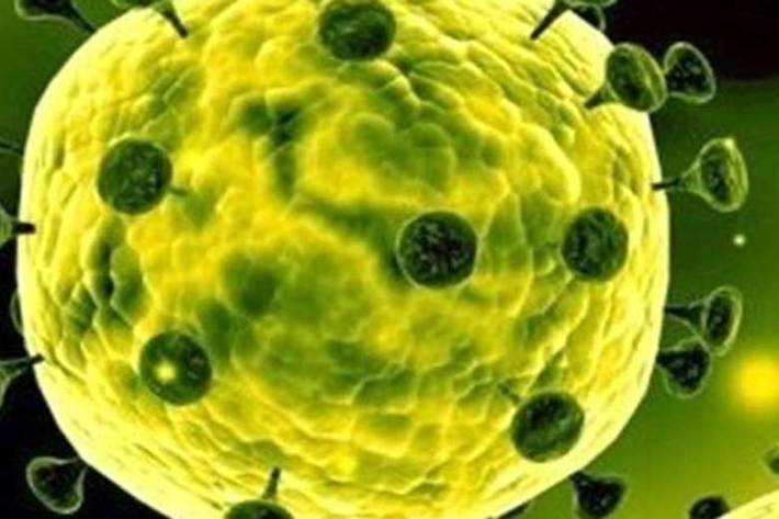 محققان آلمانی و چینی با توجه به ساختار پروتئاز ویروس کرونا دارویی ساخته‌اند که به این ویروس اجازه تکثیر نمی‌دهد و پروتئازهای اصلی در ویروس کرونا را هدف می‌گیرد.