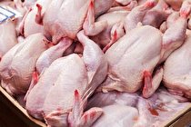 عرضه ۱۴۰۰ تن مرغ گرم در استان تهران آغاز شد