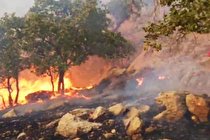 منطقه حفاظت شده «دیل» گچساران پس از ۴ روز هم چنان در آتش می سوزد