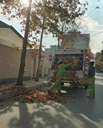 جمع آوری برگ‌های پاییزی از سطح شهر با تلاش ۹۰۰ پاکبان و خودروهای مکانیزه