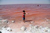 مجلس طرح تحقیق و تفحص از عملکرد ستاد احیای دریاچه ارومیه را تصویب کرد