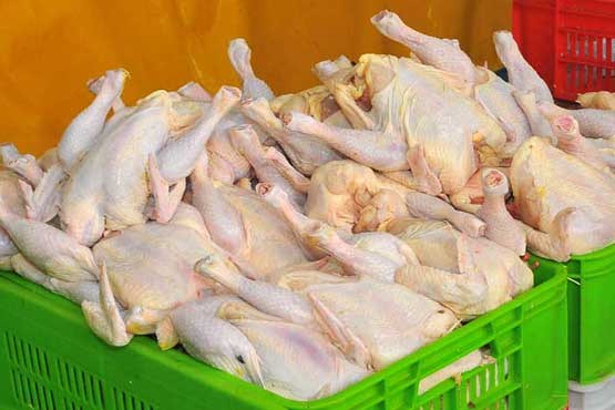 واکنش بازار به توزیع مرغ دولتی 4800 تومانی