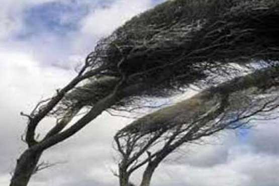 وزش باد شدید و گرد و غبار در برخی نقاط کشور