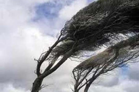 باد شدید در ۱۵ استان می وزد