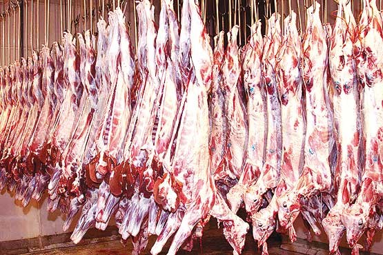 بازار عرضه گوشت قرمز مدیریت نشده است