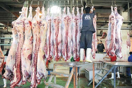 چالش کیفیت گوشت قرمز در مازندران