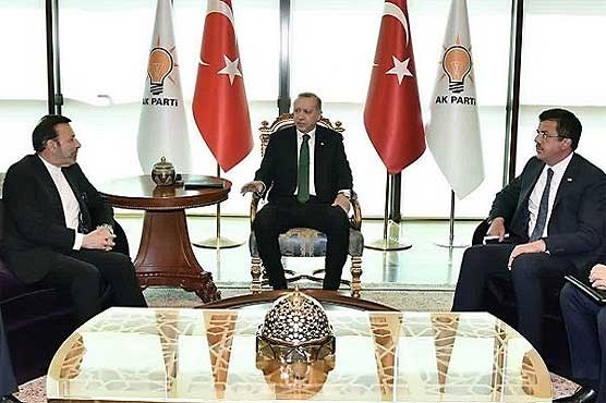 «واعظی» با رئیس جمهور ترکیه دیدار و گفتگو کرد