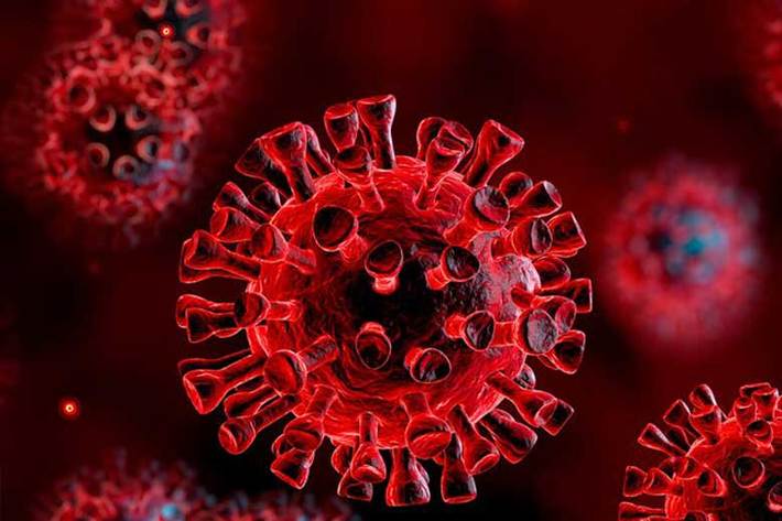 قرنطینه برای کاهش سرعت انتشار کرونا ویروس مفید است و اگر همه افراد این قانون را رعایت کنند، گسترش این ویروس پایان خواهد یافت. بر اساس نتایج تحقیقات جدید برای مقابله با همه‌گیری این ویروس نیازمند حداقل 6 هفته قرنطینه هستیم.
