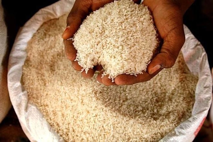 افزایش قیمت برنج با توزیع بیشتر آن در بازار کنترل می شود