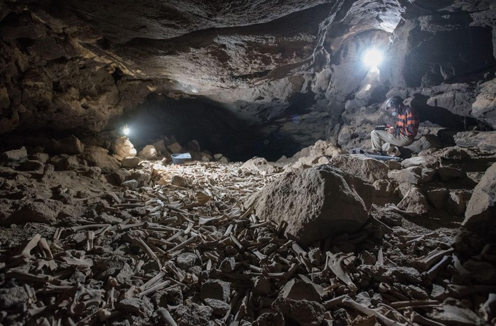 کشف مخفیگاه استخوان در غار مخوف عربستان سعودی