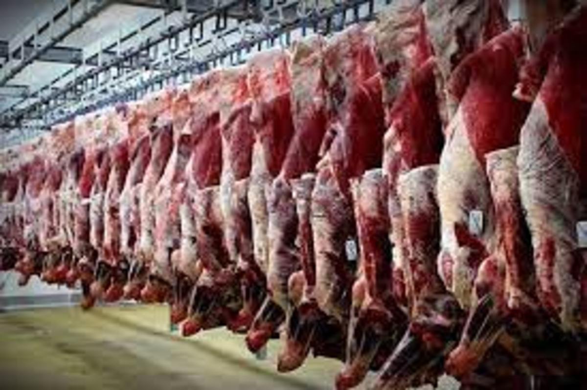 افزایش مصرف گوشت و کاهش عرضه دام،علل افزایش قیمت در خراسان رضوی