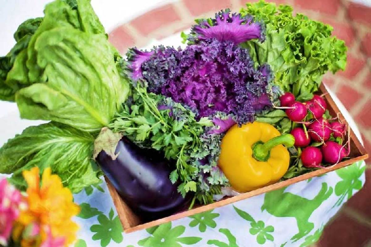 بهترین سبزیجات برای افزایش طول عمر: کارشناسان تغذیه و سلامت توصیه می کنند که حداقل ۲ وعده سبزیجات در روز مصرف کنید. با این حال، این توصیه در مورد مصرف سبزیجات به سختی رعایت می شود.
