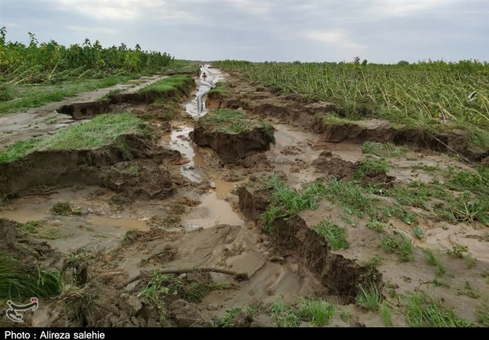 خسارت ۵۳۰میلیارد ریالی سیل و آبگرفتگی به بخش کشاورزی شهرستان جوین