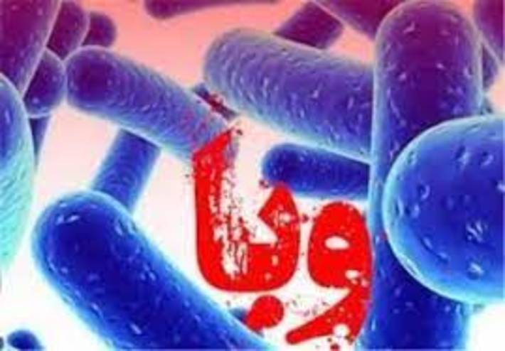 خرم‌آباد- جام جم آنلاین-رئیس گروه بیماری‌های واگیر معاونت بهداشت دانشگاه علوم پزشکی لرستان گفت: امسال خطر بیماری وبا فوق العاده جدی است و بدون همکاری دستگاه‌های اجرایی نمی‌توان با آن مقابله کرد