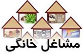 اختصاص 160 میلیارد تومان تسهیلات قرض الحسنه به مشاغل خانگی همدان