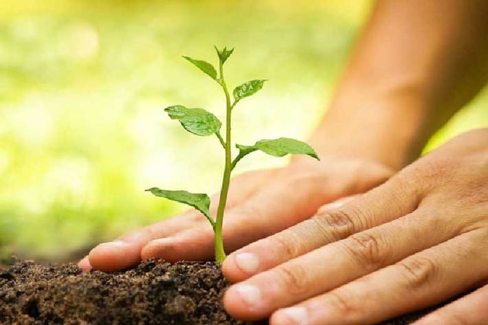 وزیر جهادکشاورزی با اشاره به اهمیت خاک و حفاظت از خاک در کشور گفت: طرح‌های زیادی از جمله کاشت یک میلیارد نهال برای حفاظت از خاک در دستور کار داریم.