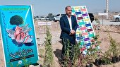 ۳٠ هزار اصله نهال جنگلی و بیابانی در جنوب کرمان غرس شد