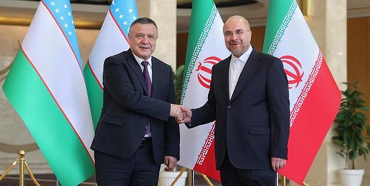دیدار رئیس مجلس ازبکستان با رئیس مجلس