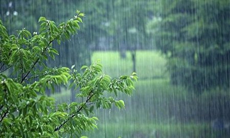 بارش باران در اغلب استان‌های کشور | خیزش گرد و خاک در نوار شرقی