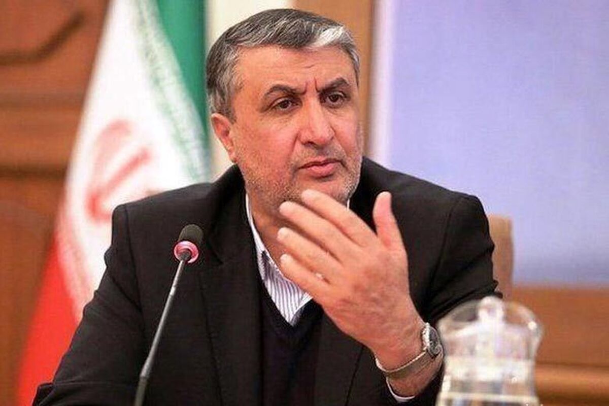 رییس سازمان انرژی اتمی نصب دوربین‌ های آژانس فراتر از تعهدات ایران را تکذیب کرد.