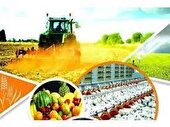 جذب 300 میلیارد تسهیلات کشاورزی در سوادکوه شمالی