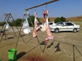 کشتار غیر مجاز دام در روستا‌های گردشگری اردبیل معضل جدی