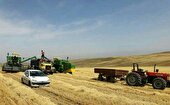 پیش‌بینی تولید ۶۰۰ هزار تن گندم در استان اردبیل
